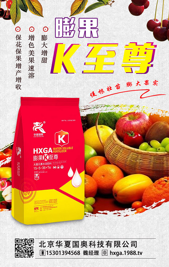 ��ޱ�辰��ηNֲ����ޱ�辰�ķNֲ������ע�������