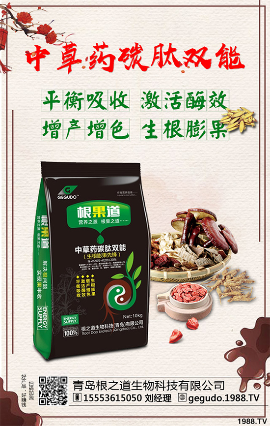 2020年黃精種植前景如何?如何種植才能獲得更高的經(jīng)濟(jì)收入?