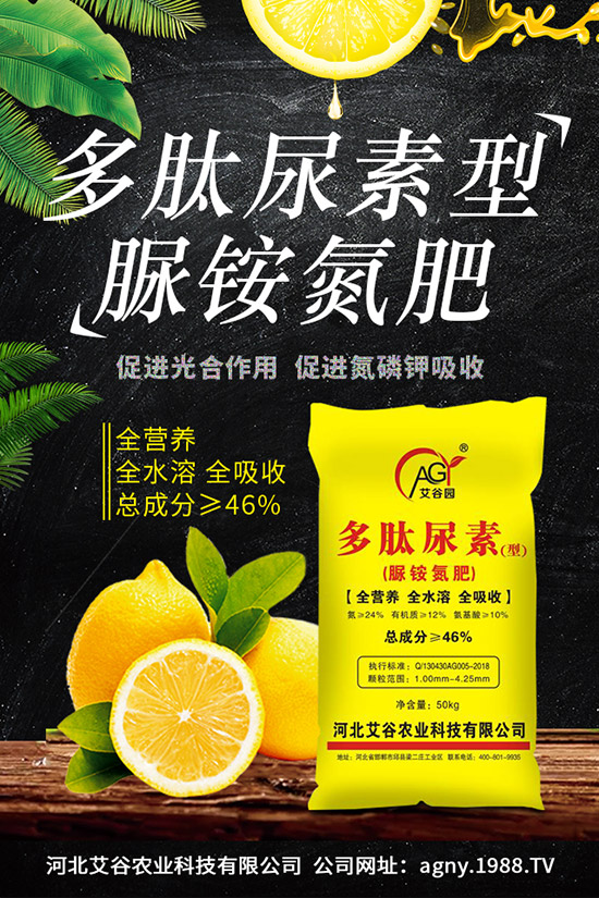 �ļ����NֲҪ�c(di��n)���ļ������缼�g(sh��)�����ڹ���