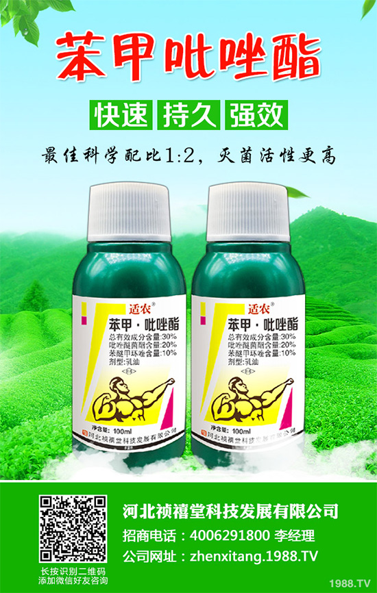 ��(gu��)��(n��i)������ԭˎ�r(ji��)��