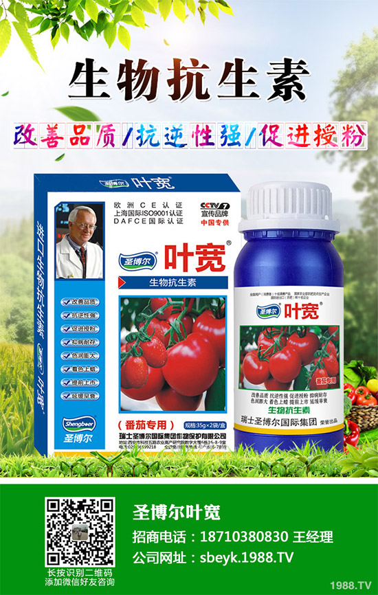 ���ﱡƤ���ԓ�����������Ƥ��ϸ߮a(ch��n)���༼�g(sh��)