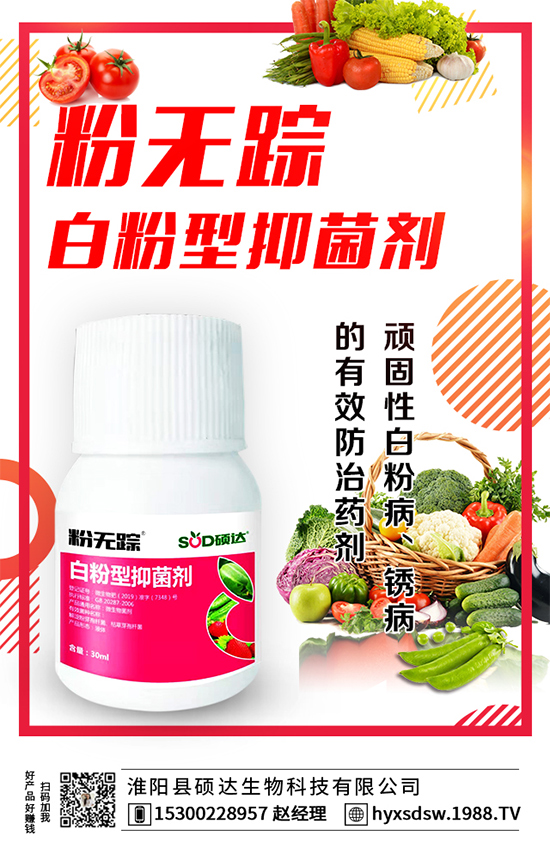 ������ô�Nֲ�������Nֲ���g(sh��)Ҫ�c(di��n)��