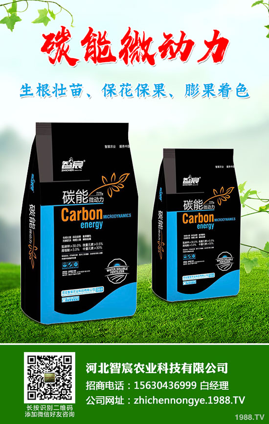 5月國內(nèi)磷肥市場何去何從？最新一銨二銨價格行情走勢預(yù)測！
