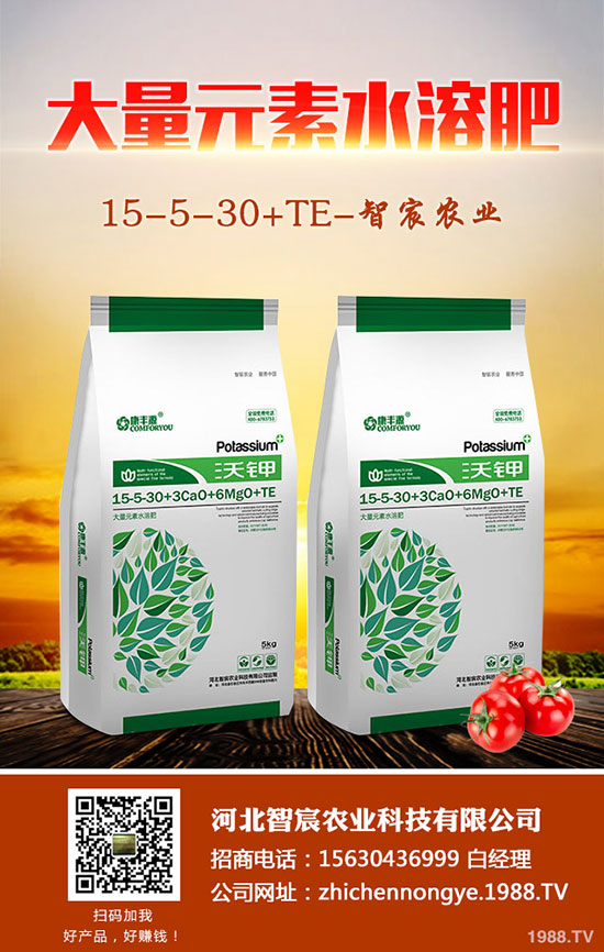 ����F��ô�B(y��ng)������F���B(y��ng)ֳ������ע�����