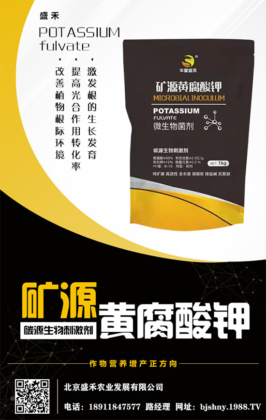     ����⛷�(w��n)���\(y��n)����2020.05.16⛷ʃr(ji��)�������߄ݷ�����