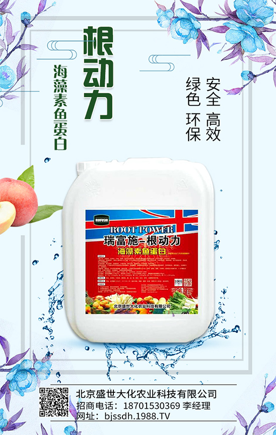     �׷ʃr���λ�\�У�2020-05-16����һ�@���@�r���߄ݷ�����