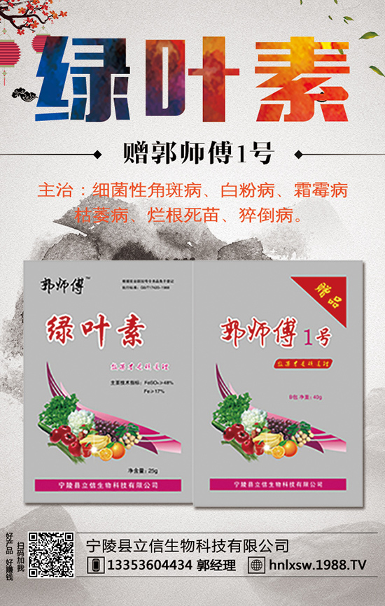 �S�Ϯ��a(ch��n)���Ƕ�������ηNֲ�S�ϲ��ܸ߮a(ch��n)��