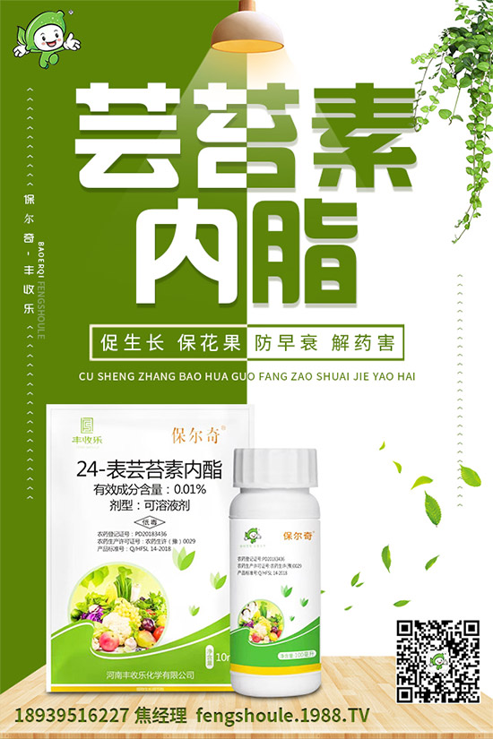 ��ɺ��ԓ��ô�Nֲ����ηNֲ�ܸ߮a(ch��n)����ɺ���߮a(ch��n)�Nֲ���g(sh��)