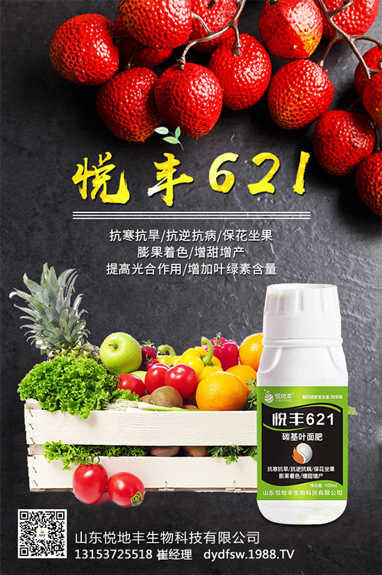 �t����֪��ԓ�����������