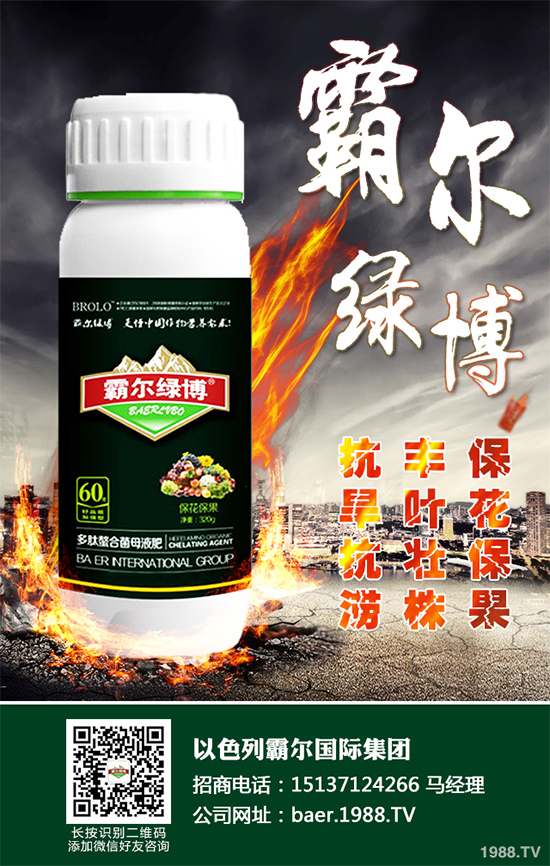 ������ʲô�r�򲥷N��2020���������粥�����ă�(y��u)ȱ�c(di��n)����