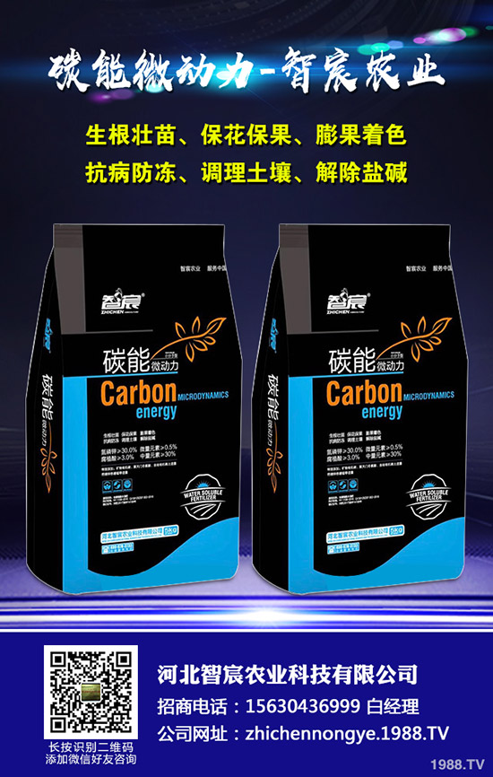 ���ϵ�������ԣ�����ʩ���Ľ�����