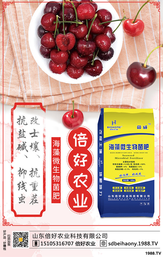     �޻������L���ڶ��������޻����L�����r�ڵı��F(xi��n)����Щ��