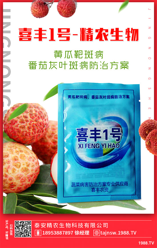 �V���X�ݷNֲ��Ҫ��Щ�l�����V���X��Ǥ������Ҫ�c(di��n)��