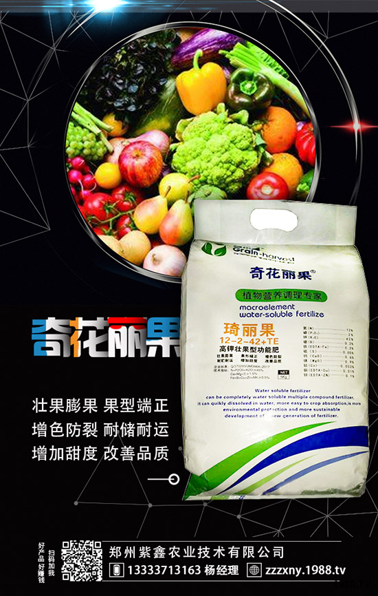 ��ݮĸ�綨ֲ������ʩ�������ӝ�ˮ��