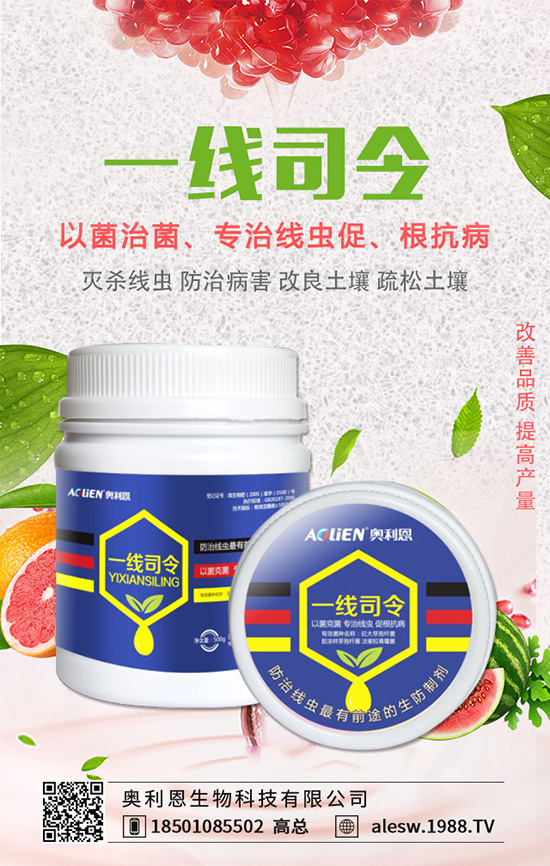 ���X(qi��n)����ô�B(y��ng)�����X(qi��n)���B(y��ng)ֳ��������Щ��