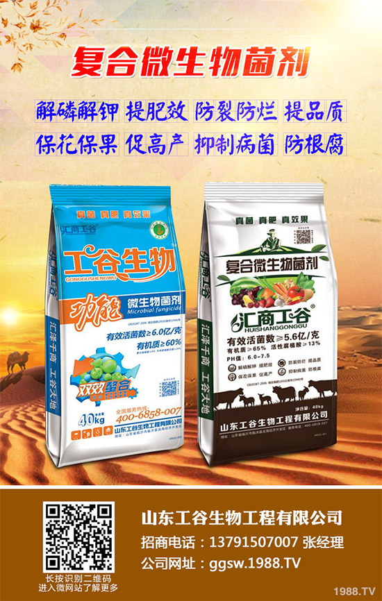 ����ʲô�r(sh��)��Nֲ���^����ԓ��ηNֲ������ķNֲ�r(sh��)�g���Nֲ���g(sh��)