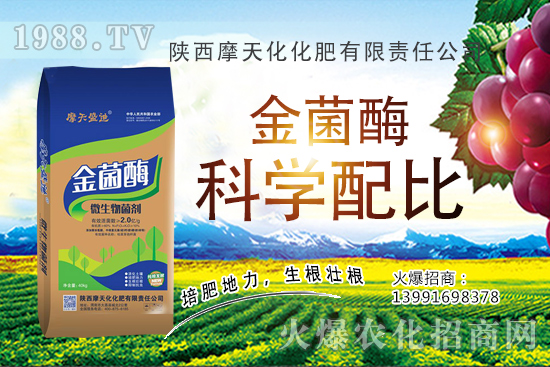 2020�����Nֲǰ����ô���������N�Ӷ����Xһ�