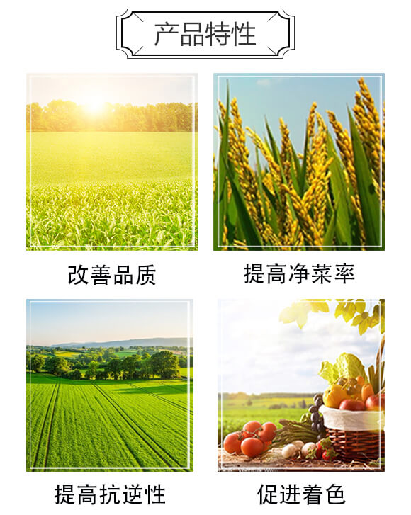 ��������-�����S_03