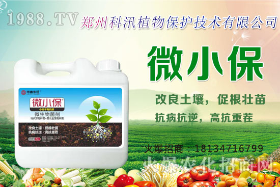 ����Ĺ�Ч�c�����������c�����Ă�(g��)���РI�B(y��ng)��