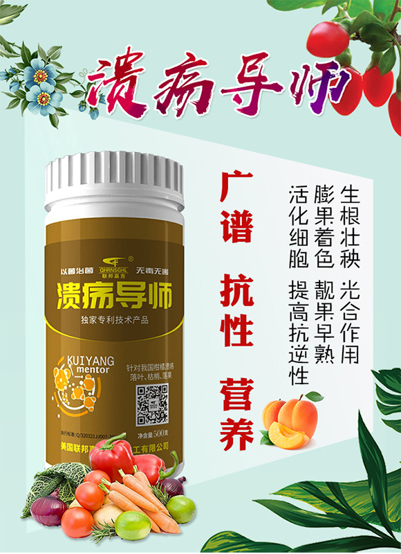 ��������-(li��n)��μ�_01