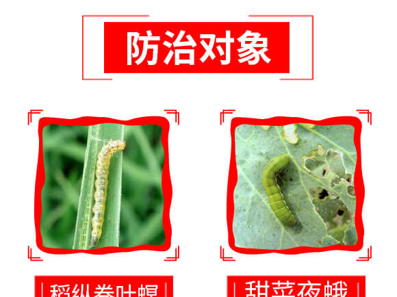 泰森蟲(chóng)擊-1%甲氨基阿維菌素苯甲酸鹽-艾綠農(nóng)_08