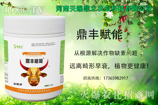 ��������ô�M(j��n)��׷���������˵ķNֲע�����(xi��ng)��