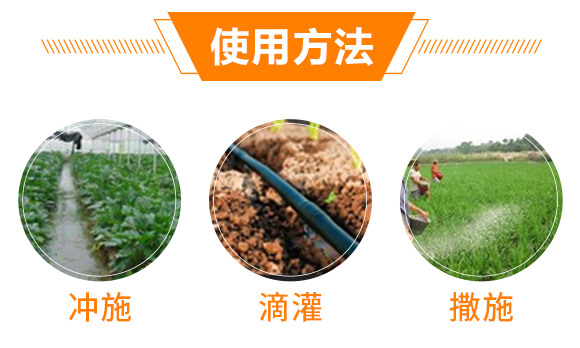 ���Y���x��Ч̎�턩-��������_07