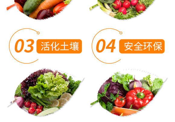 ���Y���x��Ч̎�턩-��������_06