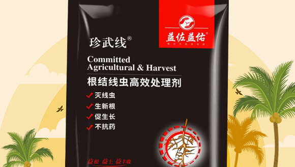 ���Y���x��Ч̎�턩-��������_02