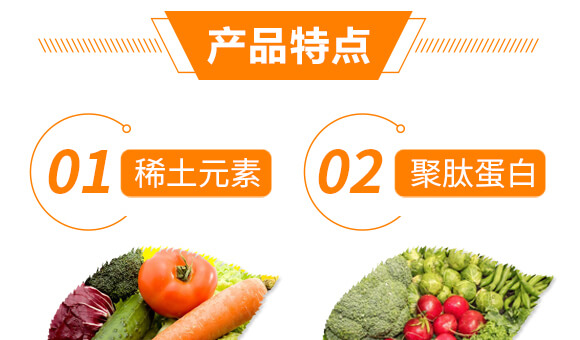 ���Y���x��Ч̎�턩-��������_05