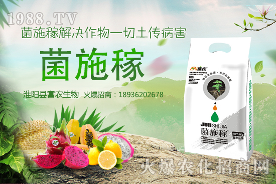 2020���r(n��ng)��NҰ��ٍ�X�᣿�x����ЩҰ��Ʒ�NЧ��ߣ����h�ղ���