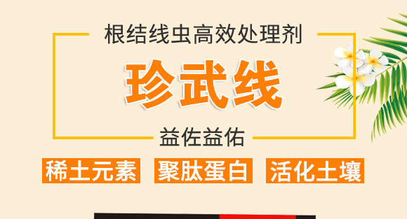 ���Y���x��Ч̎�턩-��������_01