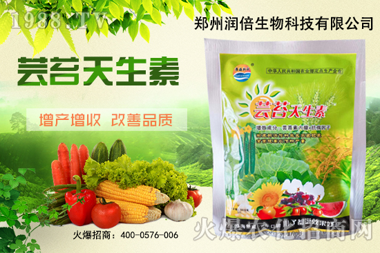 �S�B������ô�������S�B���ڲ��x(ch��ng)�����Σ�