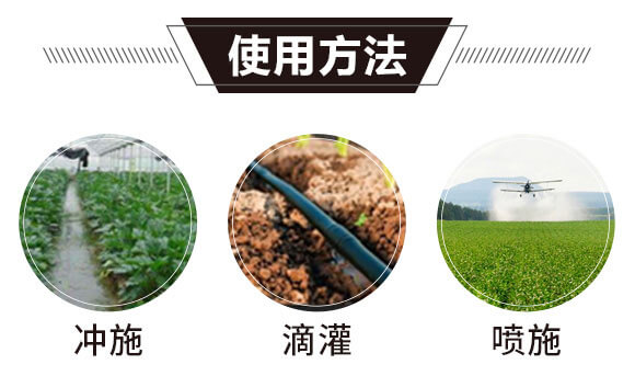 ��⛶���-һ����-�̩_11