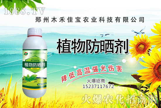 ������Nֲ����Ҫ�c(di��n)����Щ�����������Է�����