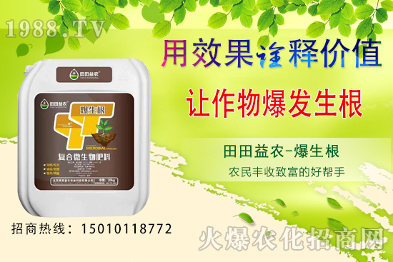 ���¿��ԷNֲ���߲�����Щ�����·N�߲˹���Ҫ�c(di��n)��