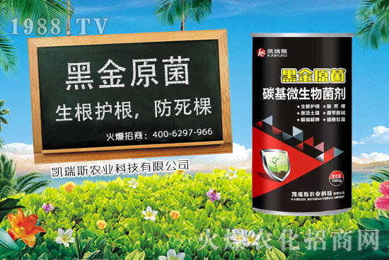     ����ʲô�r(sh��)����������׵��ի@�r(sh��)�ڣ����׵ĠI�B(y��ng)�r(ji��)ֵ��