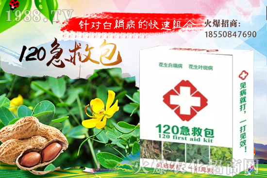 �ȹ����緽������Щ���ȹ���ô���Զ�ֲ��