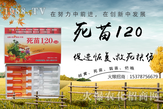  �߲˷Nֲ���L���������������砀�����W(xu��)��(hu��)�@Щ�������߲����砀����������