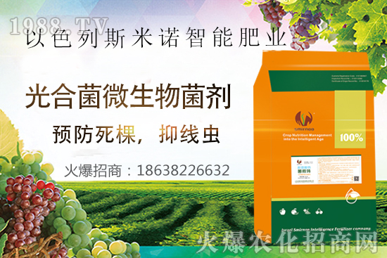 ���Y(ji��)���xΣ������̫�y��������΢�ء����æ�����ƾ��x���x�ѣ��Ƀ���