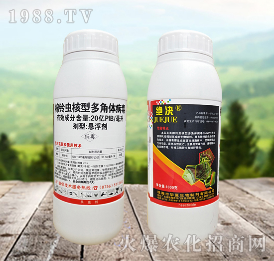 ����x���Ͷ���w������ʲô�x��Ч����ô�ӣ���ô�x����