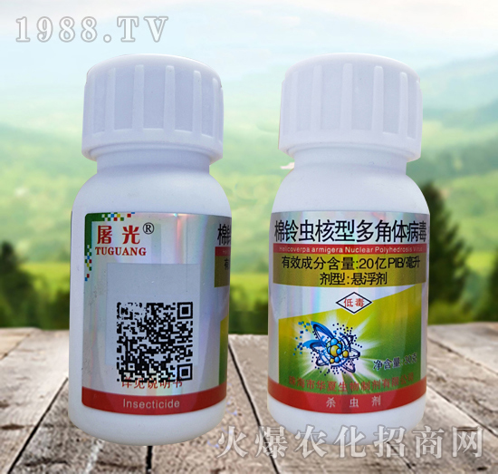 ����x���Ͷ���w������ʲô�x��Ч����ô������ô�x��