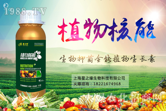 ����С�����{�x