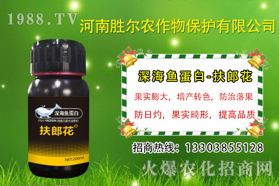 2020年7月13日今日國內(nèi)磷銨價(jià)格行情及交易日評