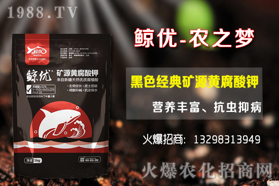 �����ķNֲ�ܶ���������Ʒ�N�x�񼰷Nֲ������