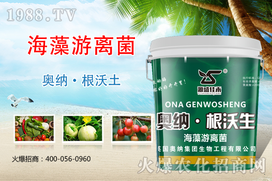 ���ӱ��W�{����Ʒ���u��������������o����ע��I�B(y��ng)�·�����