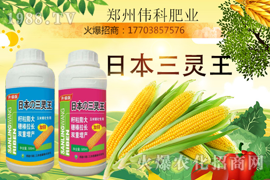 ���׿����״κ������׿����r(sh��)�g�����׿����a(ch��n)Ʒ�x����