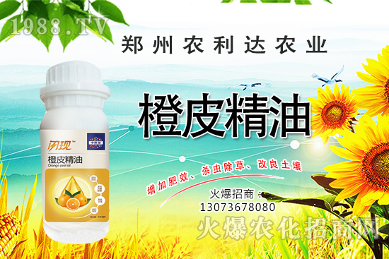 ��Ƥ�������˽��������Ƥ������ʲô���ã���ô�x��Ƥ���ͣ�