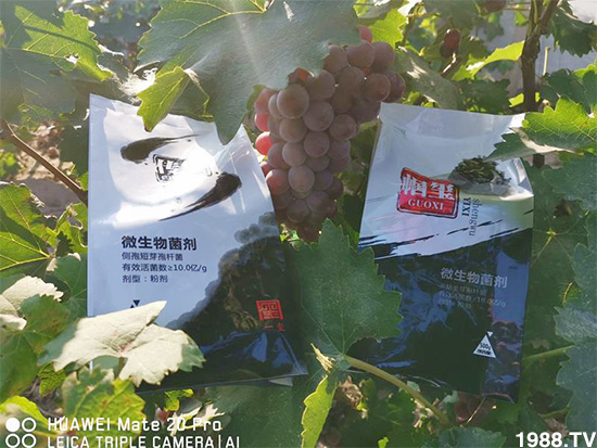 �îa(ch��n)Ʒ����������һ�t���΢������������t���͑��挍������