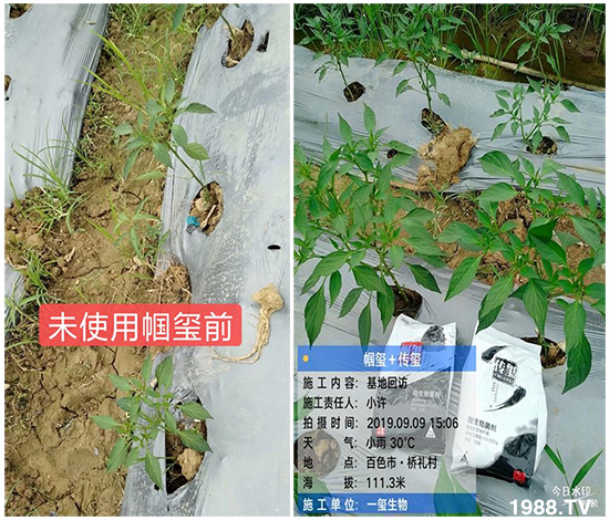 �îa(ch��n)Ʒ�����ã���һ�t���΢������������t���͑��挍������